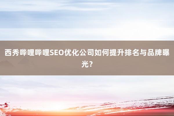 西秀哔哩哔哩SEO优化公司如何提升排名与品牌曝光？