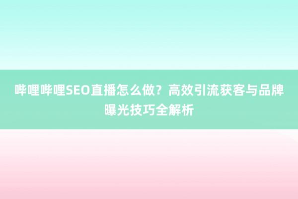 哔哩哔哩SEO直播怎么做？高效引流获客与品牌曝光技巧全解析