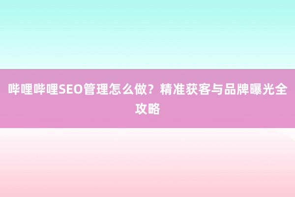 哔哩哔哩SEO管理怎么做？精准获客与品牌曝光全攻略