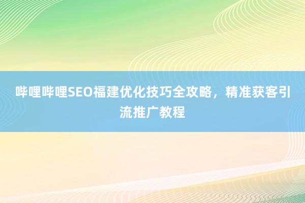 哔哩哔哩SEO福建优化技巧全攻略，精准获客引流推广教程