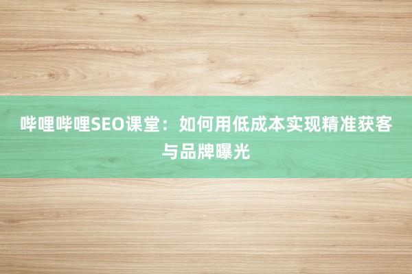 哔哩哔哩SEO课堂：如何用低成本实现精准获客与品牌曝光