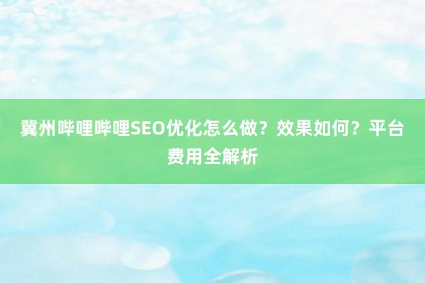 冀州哔哩哔哩SEO优化怎么做？效果如何？平台费用全解析