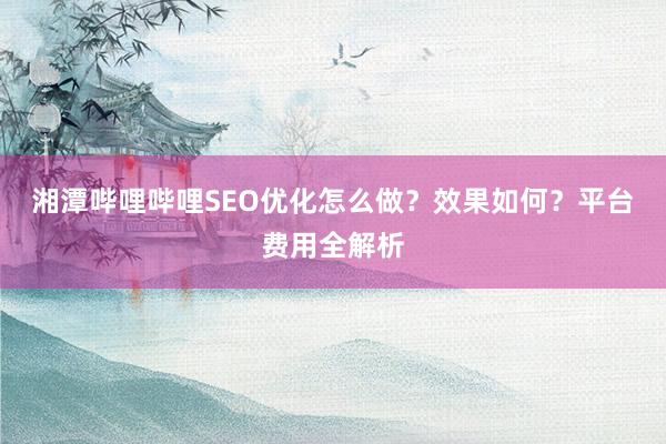 湘潭哔哩哔哩SEO优化怎么做？效果如何？平台费用全解析