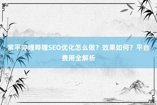 常平哔哩哔哩SEO优化怎么做？效果如何？平台费用全解析