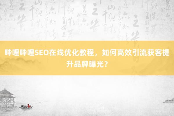 哔哩哔哩SEO在线优化教程，如何高效引流获客提升品牌曝光？