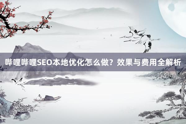 哔哩哔哩SEO本地优化怎么做？效果与费用全解析