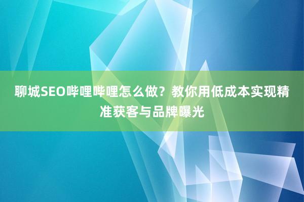 聊城SEO哔哩哔哩怎么做？教你用低成本实现精准获客与品牌曝光