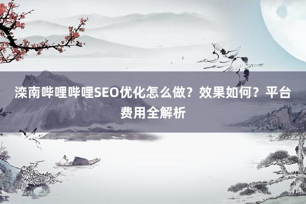 滦南哔哩哔哩SEO优化怎么做？效果如何？平台费用全解析