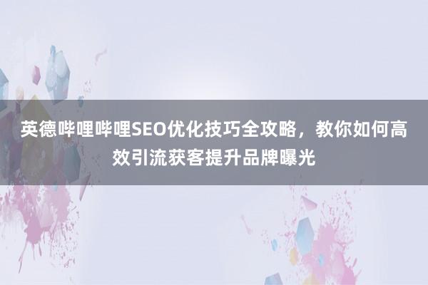 英德哔哩哔哩SEO优化技巧全攻略，教你如何高效引流获客提升品牌曝光