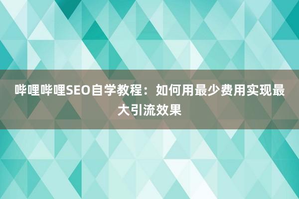 哔哩哔哩SEO自学教程：如何用最少费用实现最大引流效果