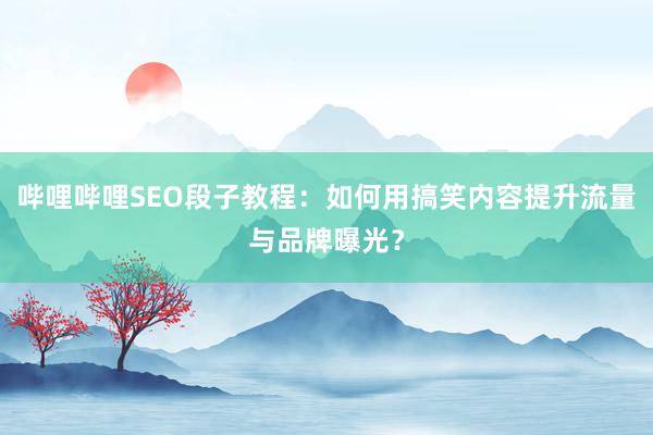 哔哩哔哩SEO段子教程：如何用搞笑内容提升流量与品牌曝光？