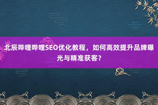 北辰哔哩哔哩SEO优化教程，如何高效提升品牌曝光与精准获客？
